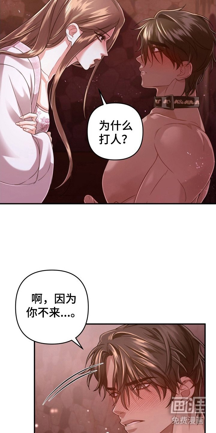 第35章：理由