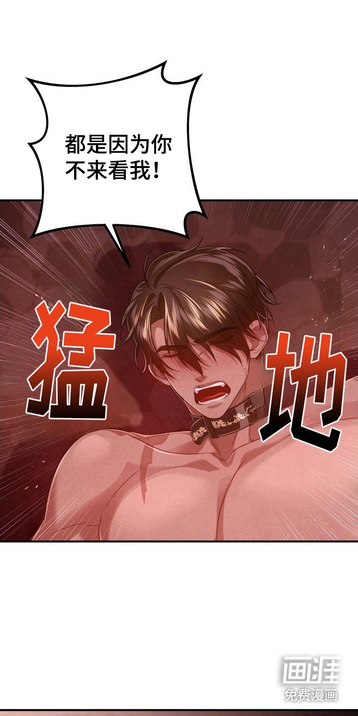 第35章：理由