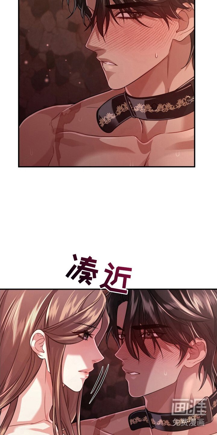第36章：支离破碎