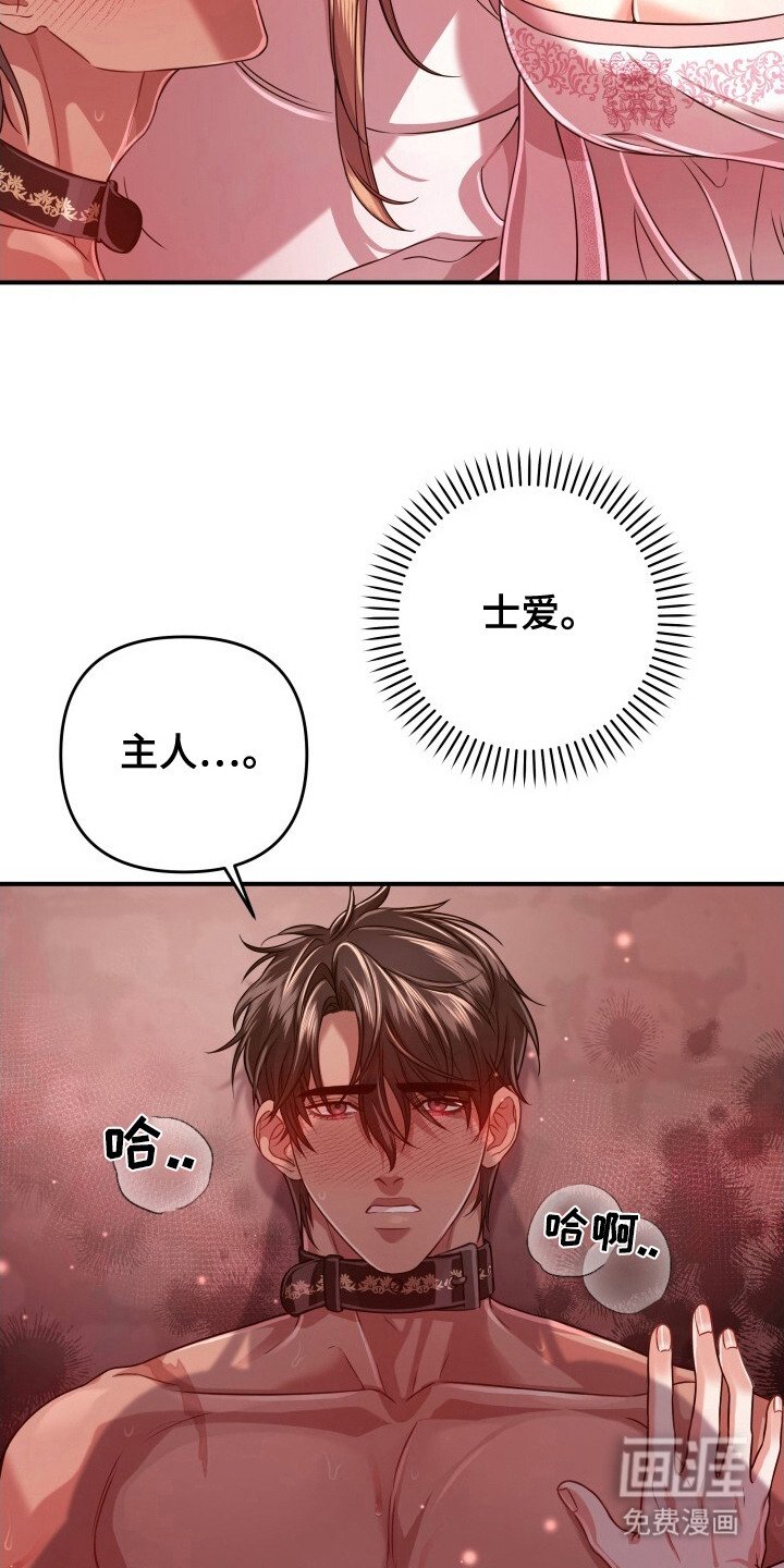 第36章：支离破碎