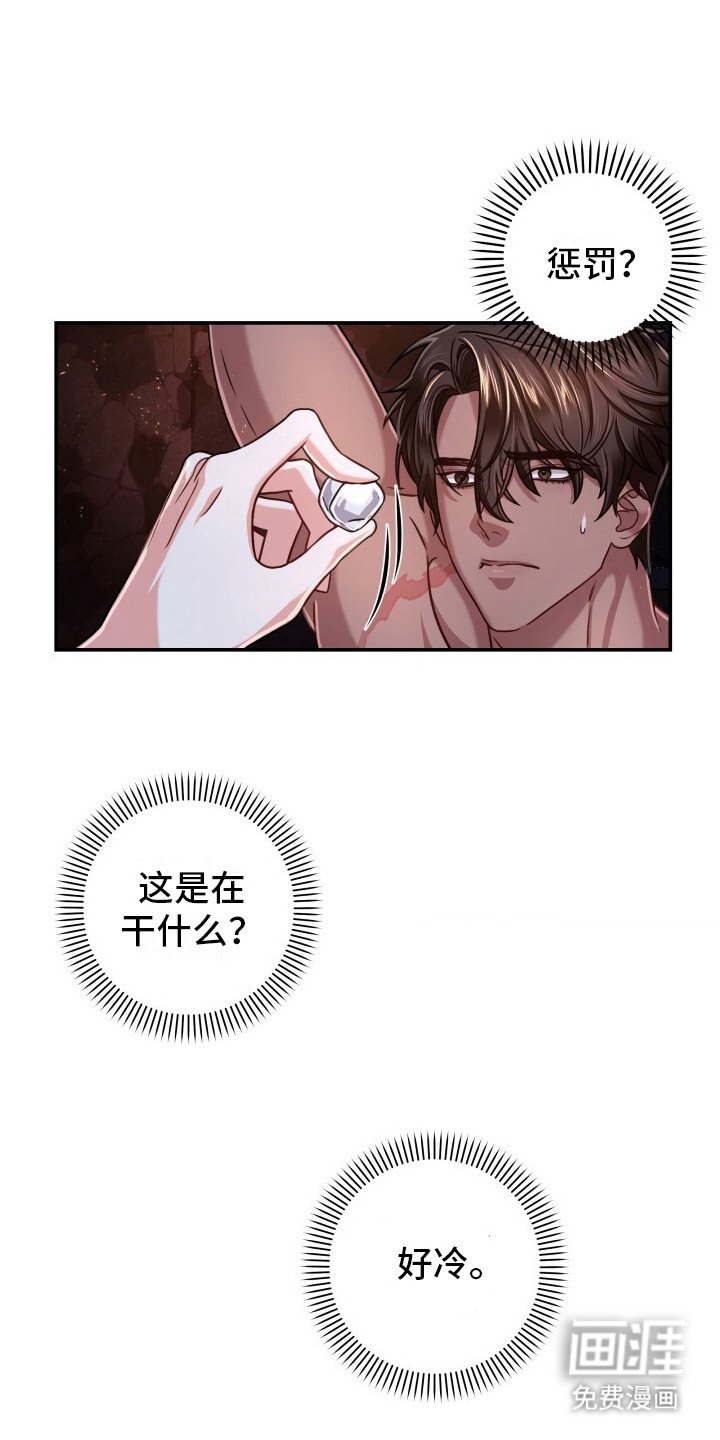 第8章：惩罚