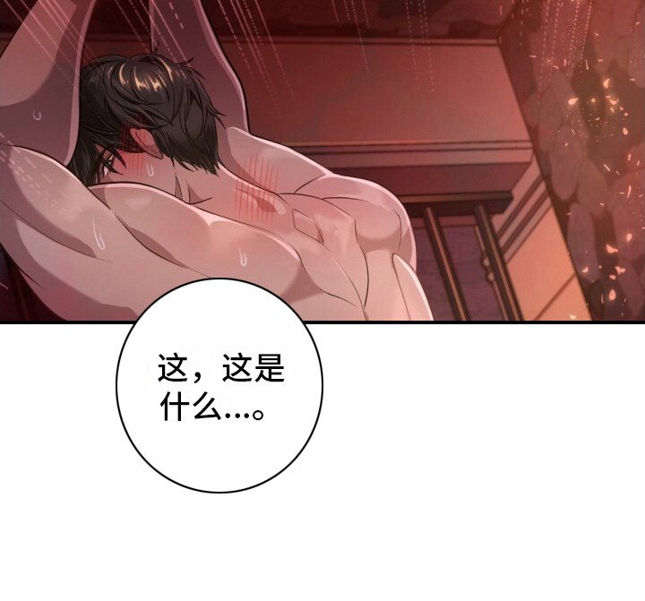 第8章：惩罚