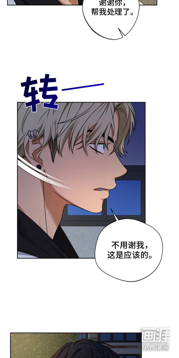 第11章：灵力