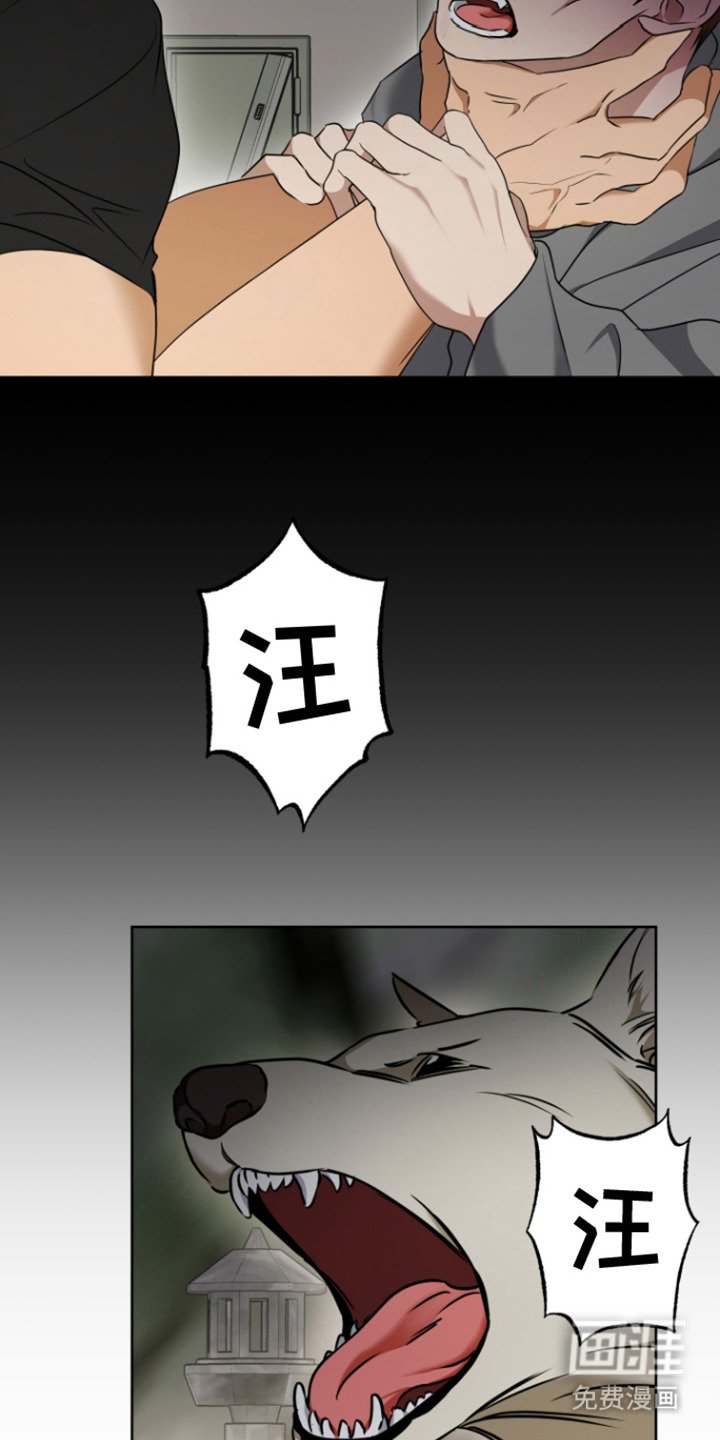 第15章： 坚持看看