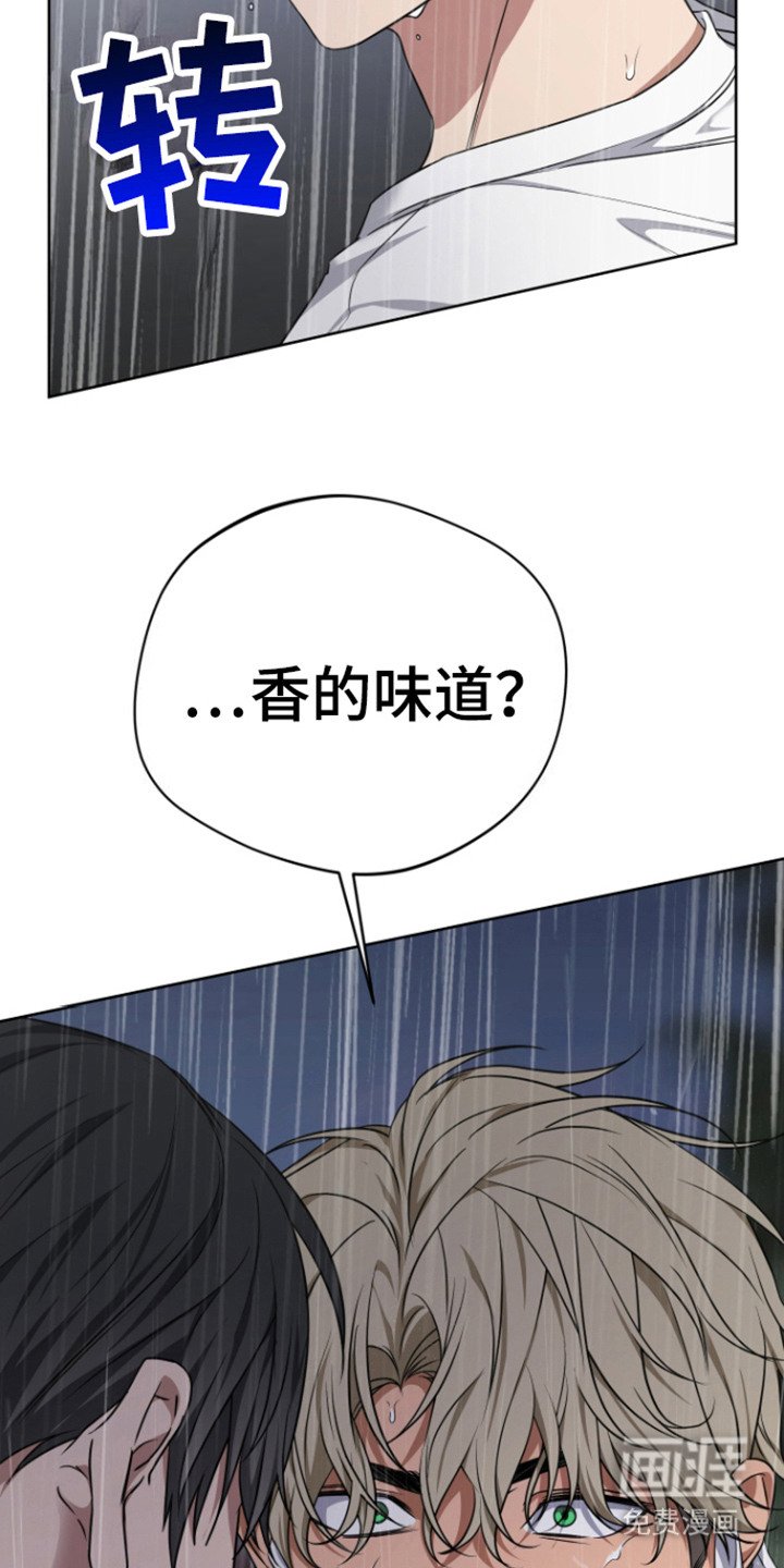 第18章：香的味道