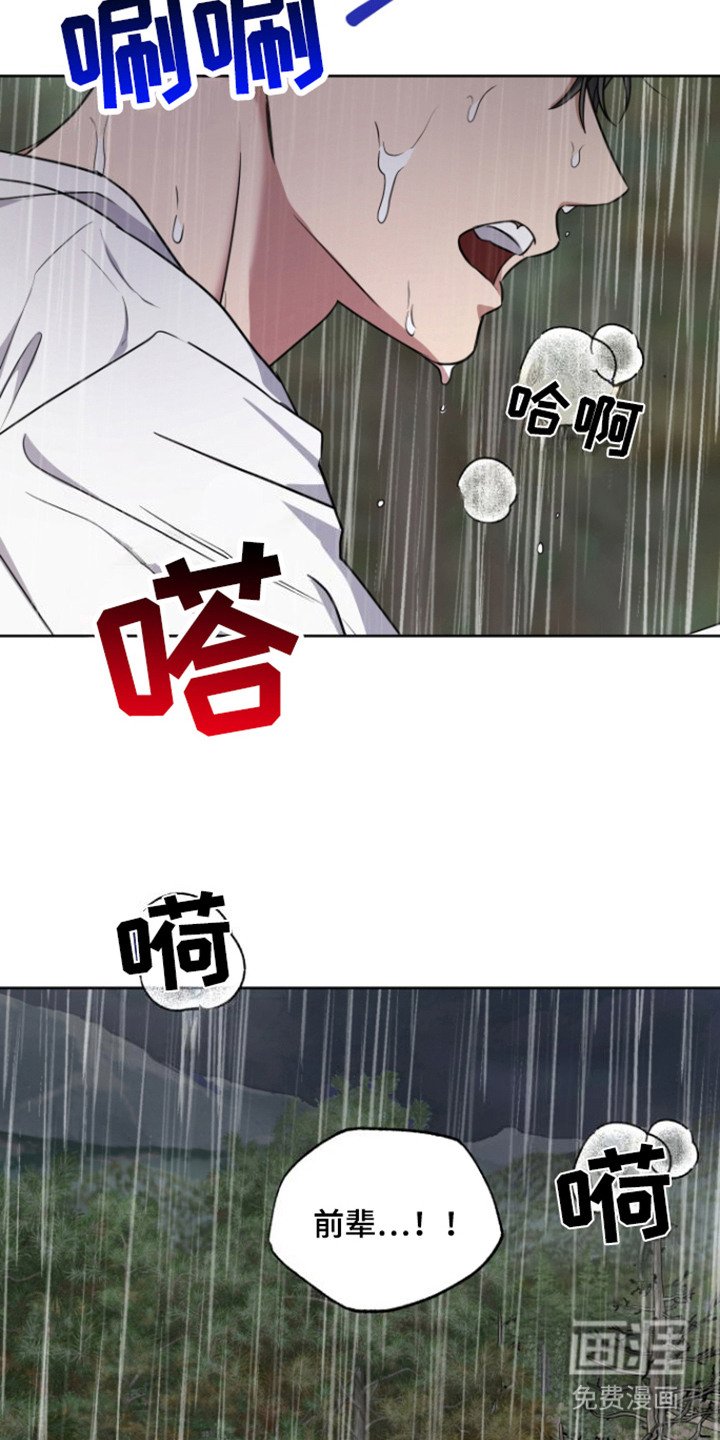 第19章：理由