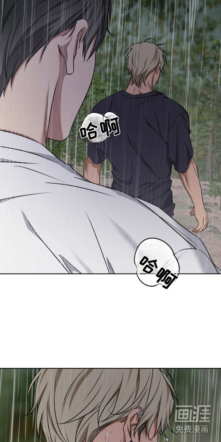 第19章：理由