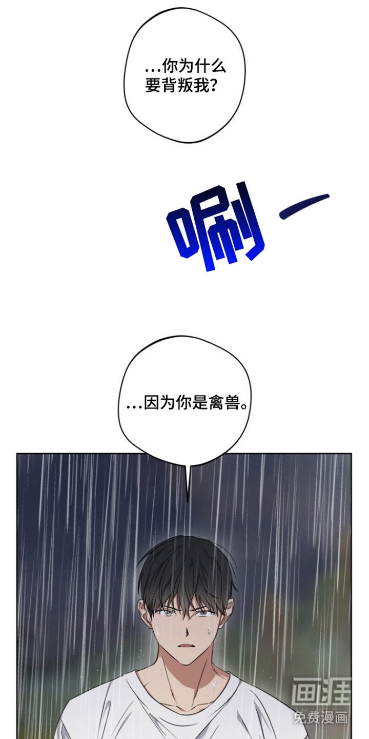 第19章：理由