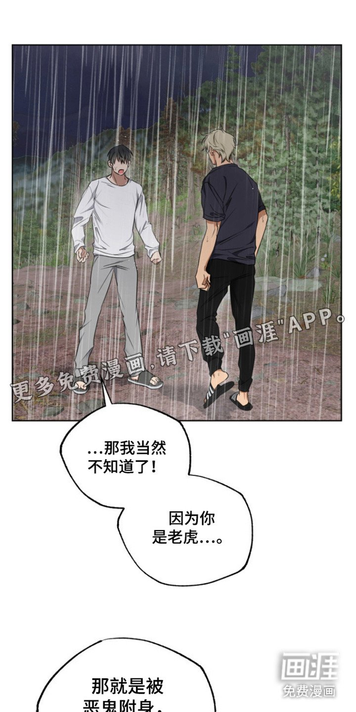 第19章：理由