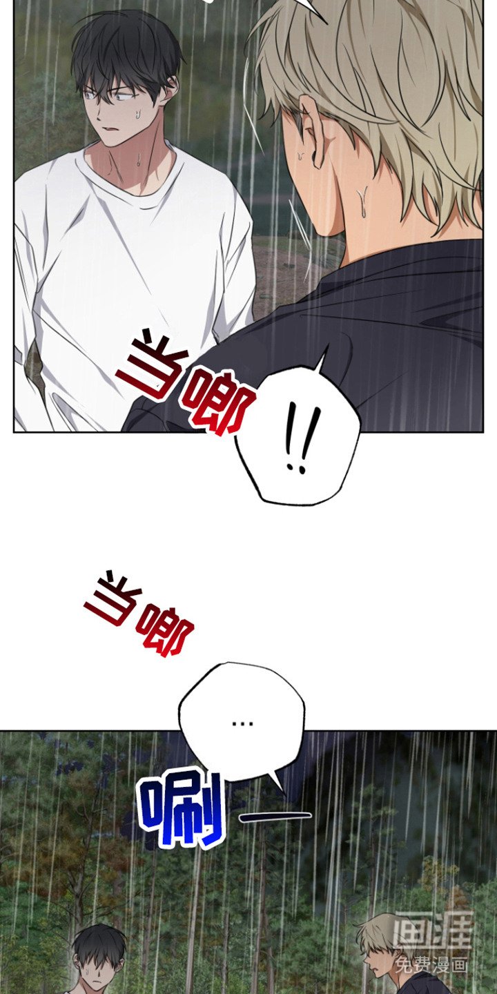 第19章：理由