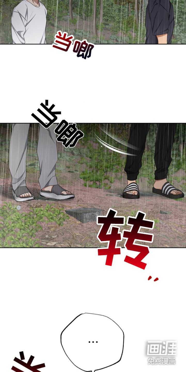 第19章：理由