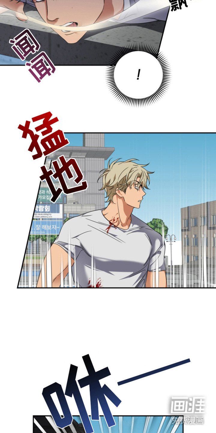 第2章：野性