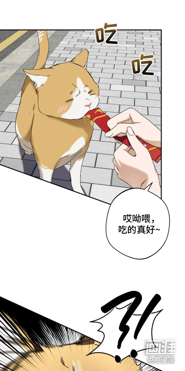 第2章：野性
