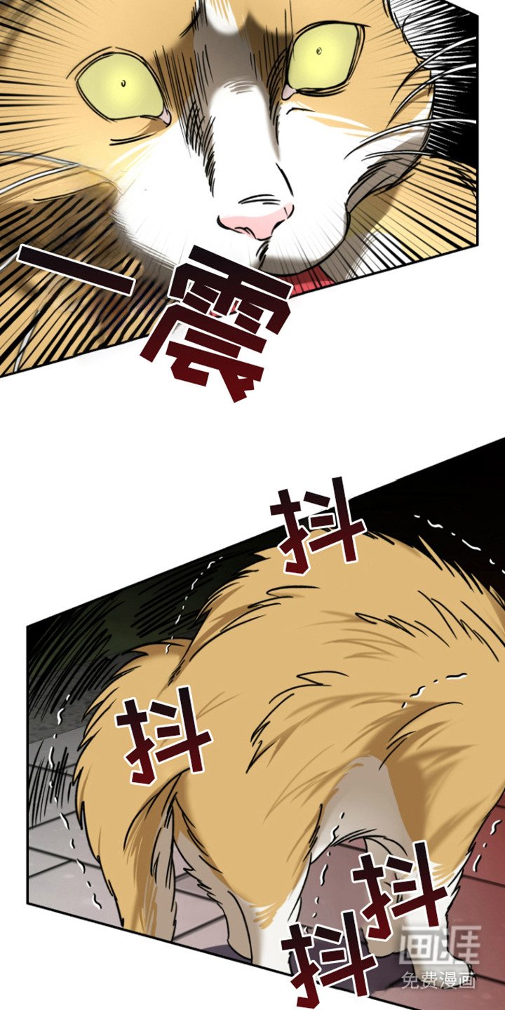 第2章：野性
