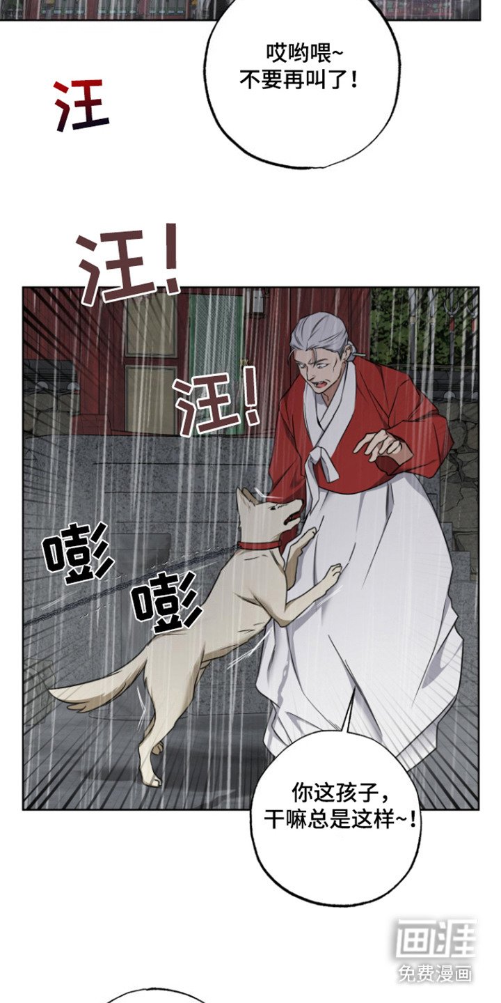 第20章：以防万一