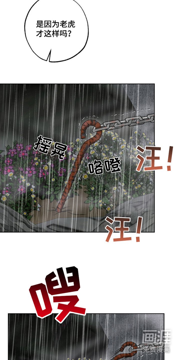 第20章：以防万一