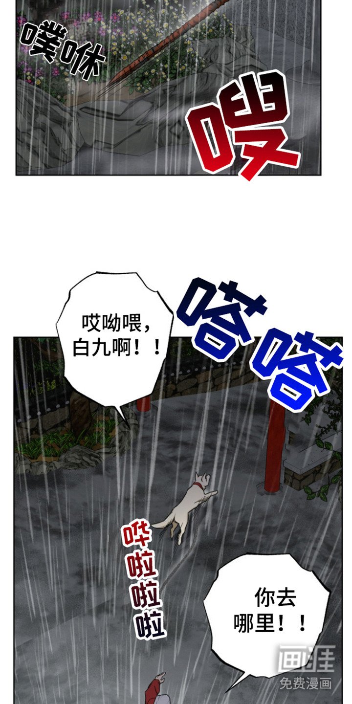 第20章：以防万一