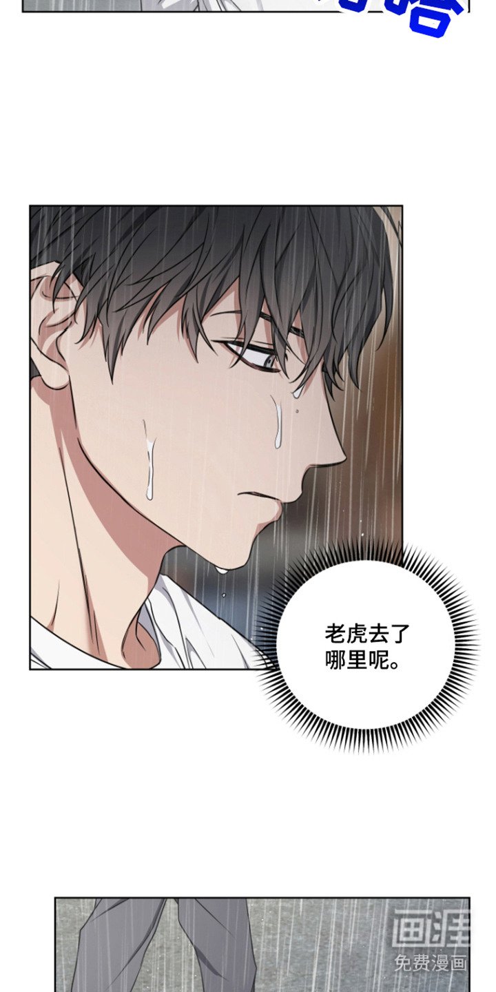 第21章：偷袭 