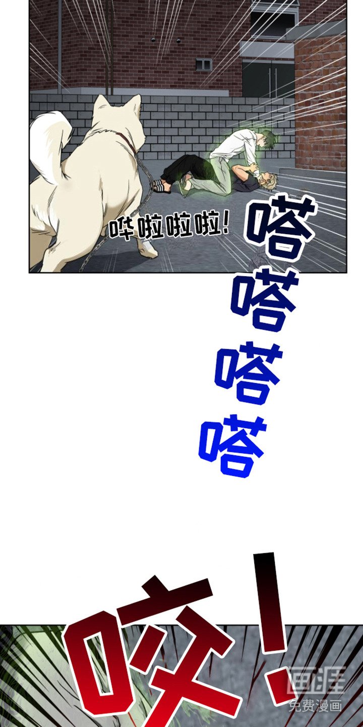 第23章：狗崽子