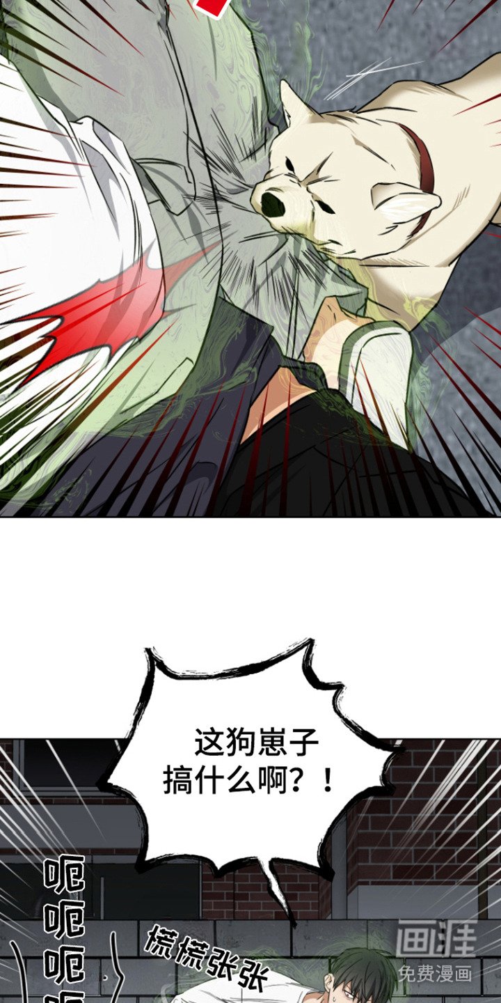 第23章：狗崽子