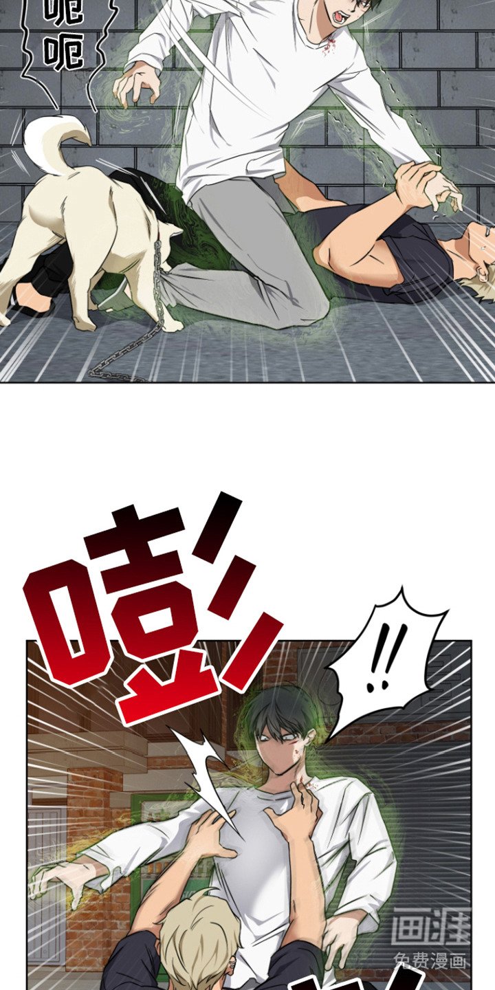 第23章：狗崽子