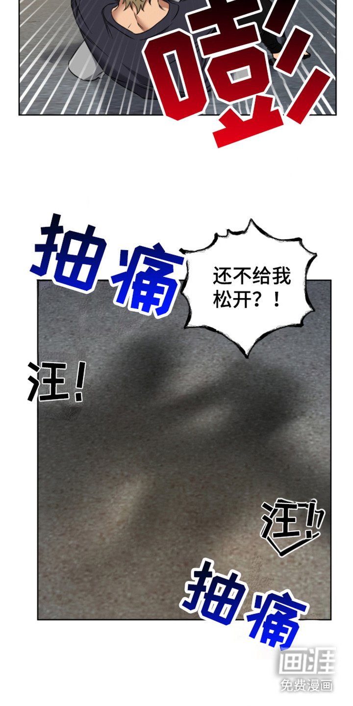 第23章：狗崽子