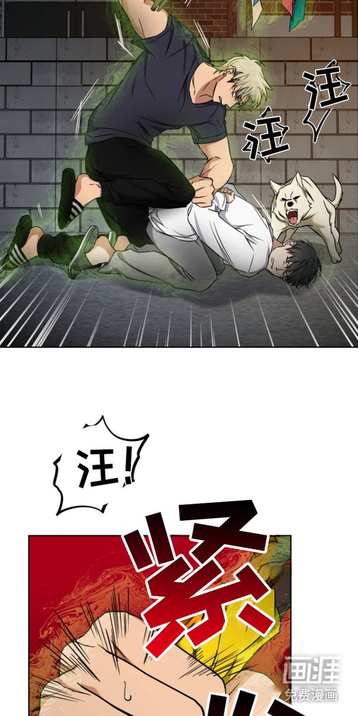 第23章：狗崽子