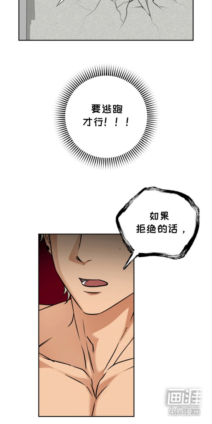 第7章：约定