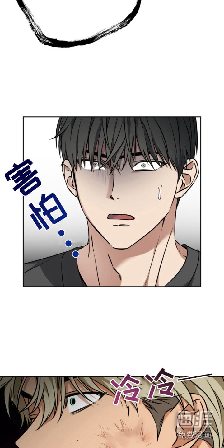 第7章：约定