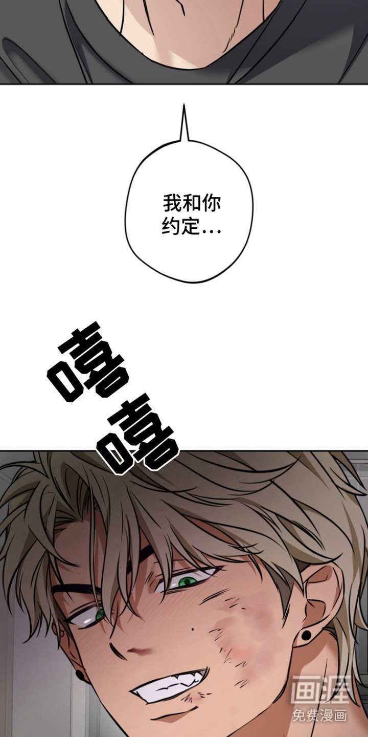 第7章：约定