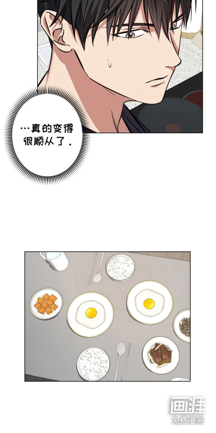 第8章：变得顺从