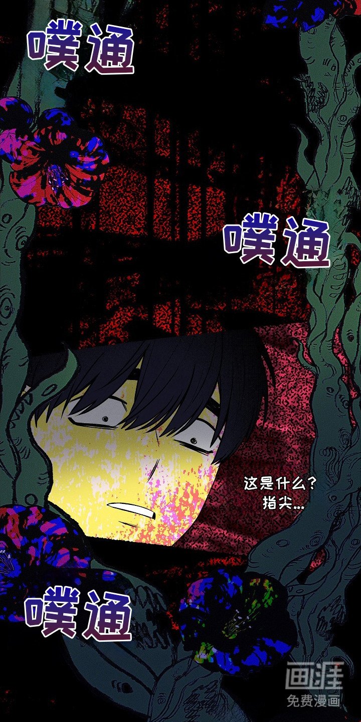 第12章：触碰