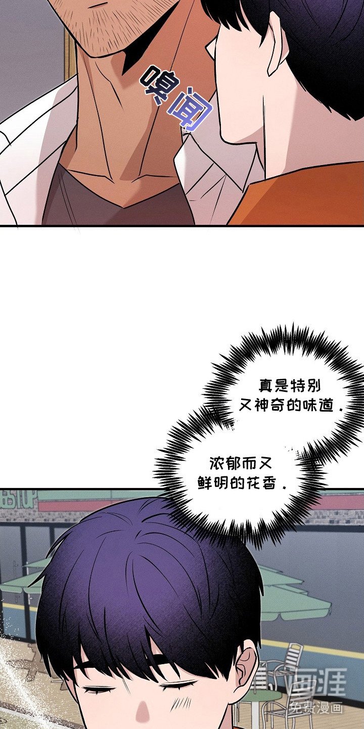 第21章：相同的味道
