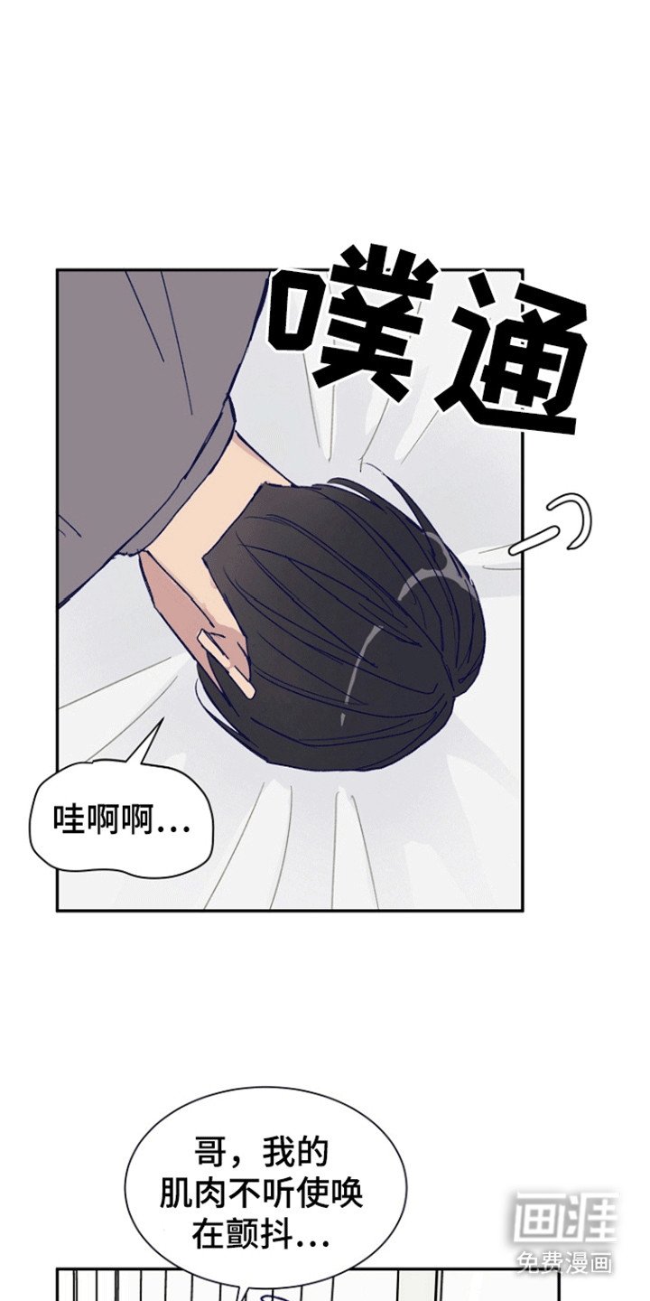 第2章：诱捕