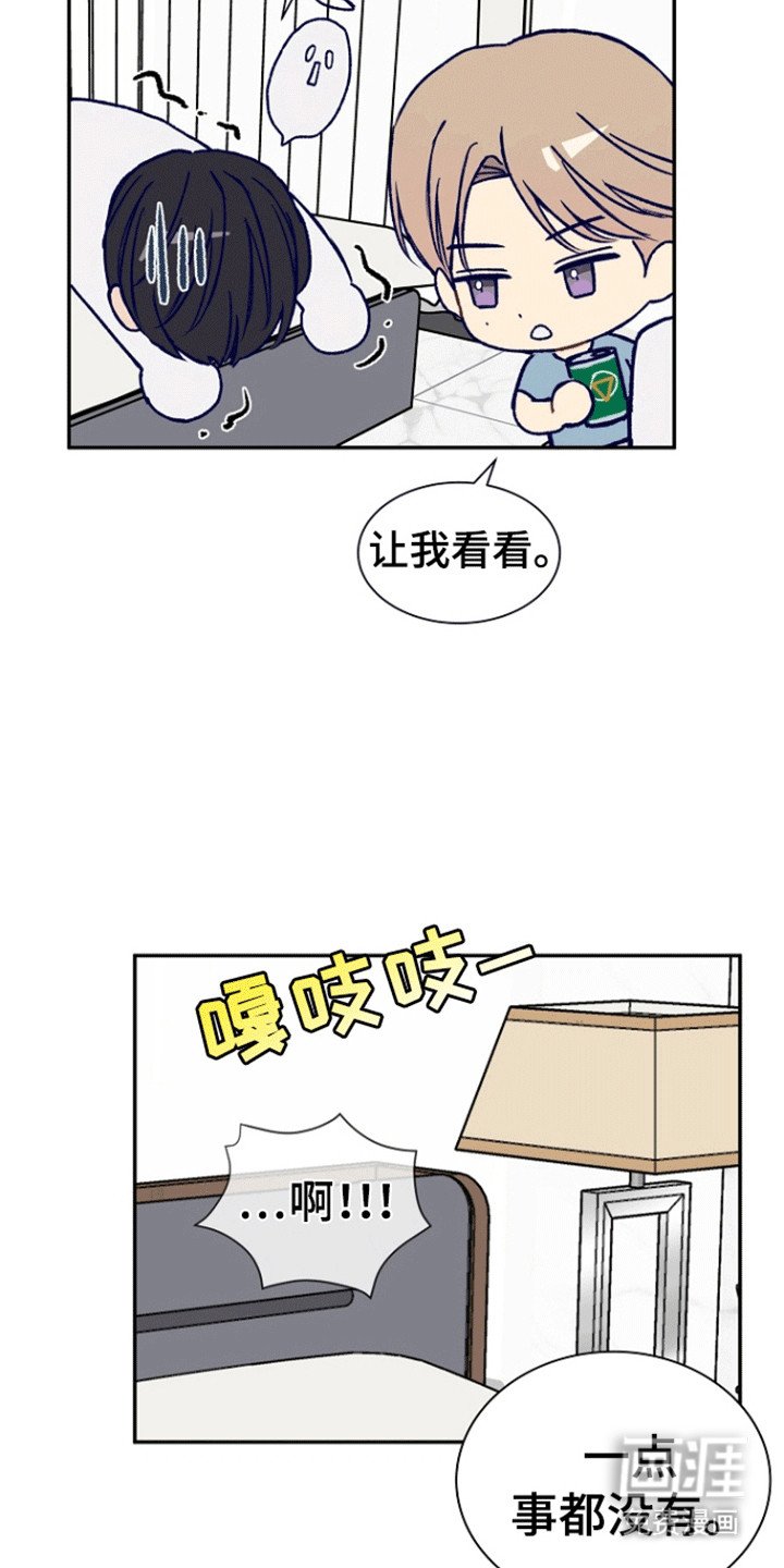 第2章：诱捕