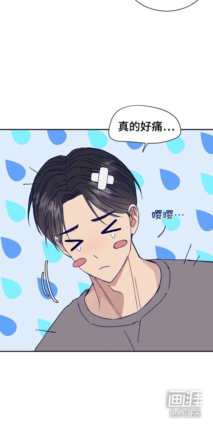 第2章：诱捕