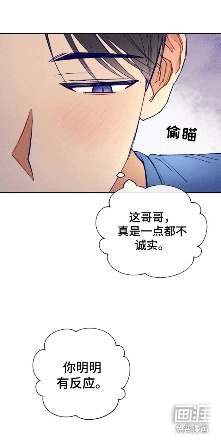 第7章：不诚实