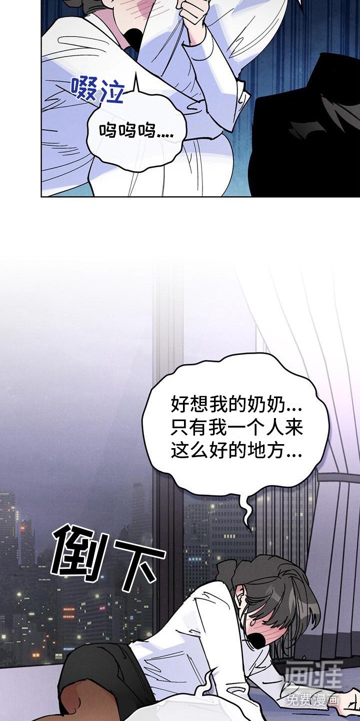 第11章：阴晴不定