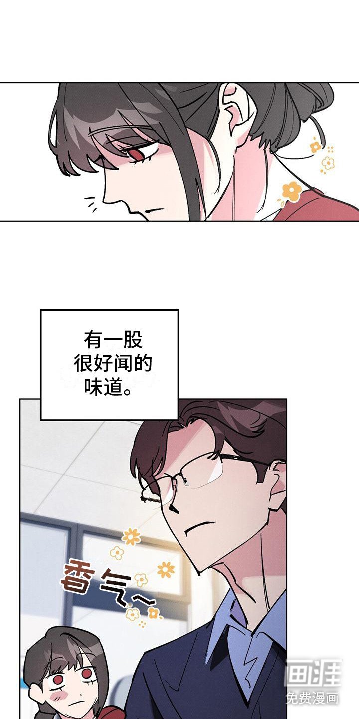 第16章：完美男人