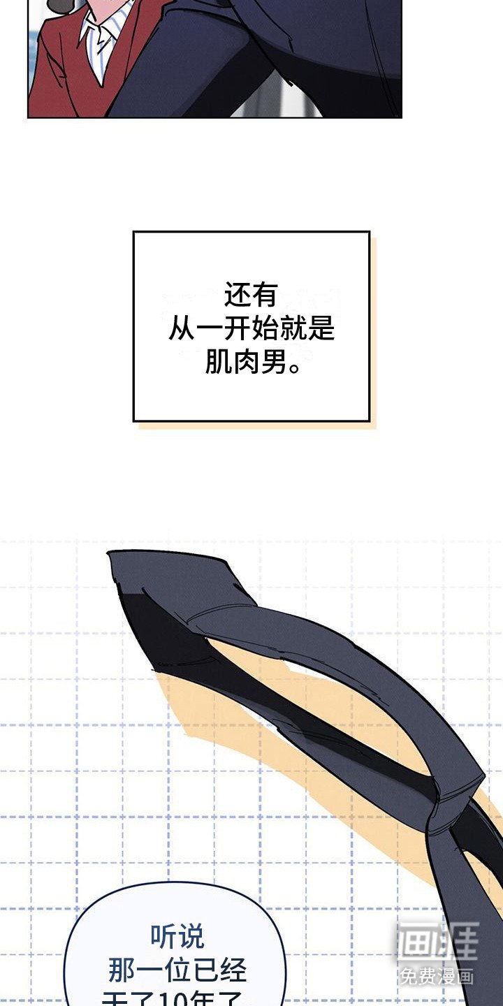 第16章：完美男人