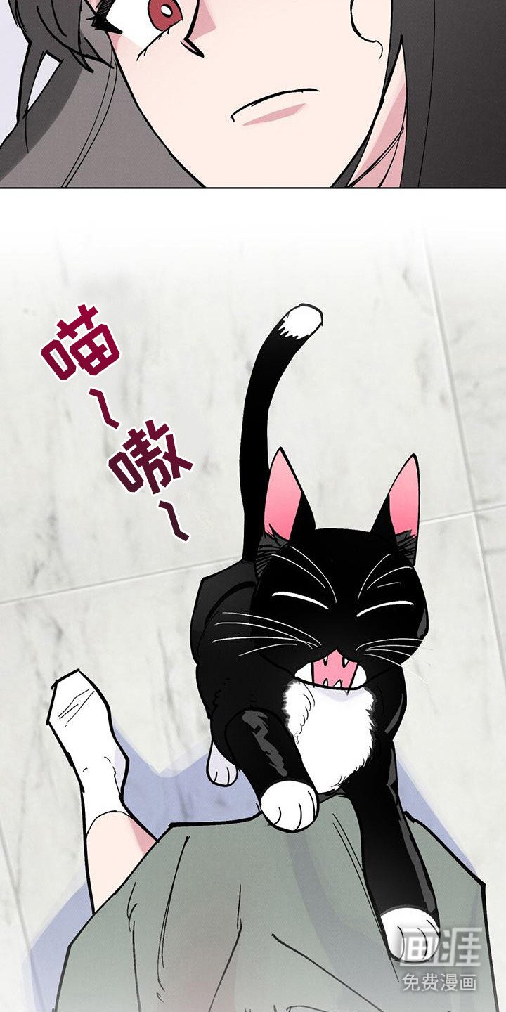 第19章：脸红