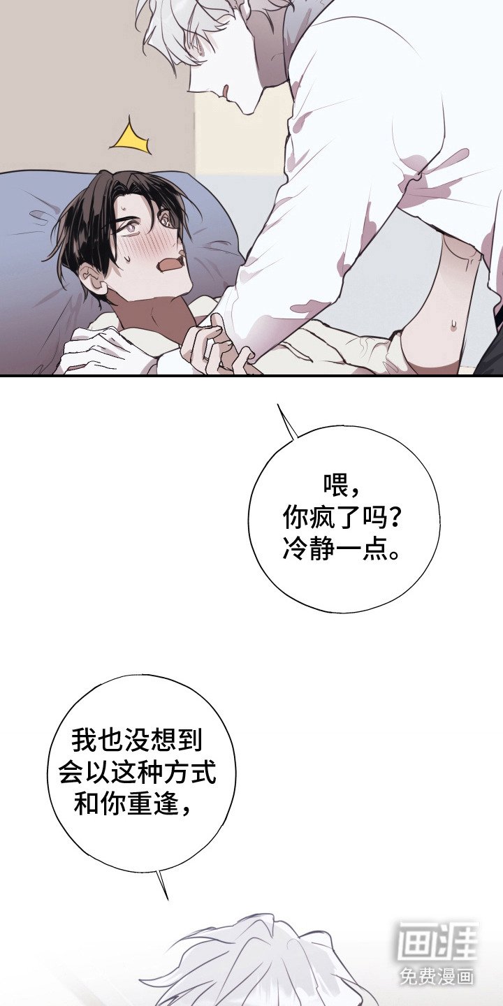 第10章：不会再错过