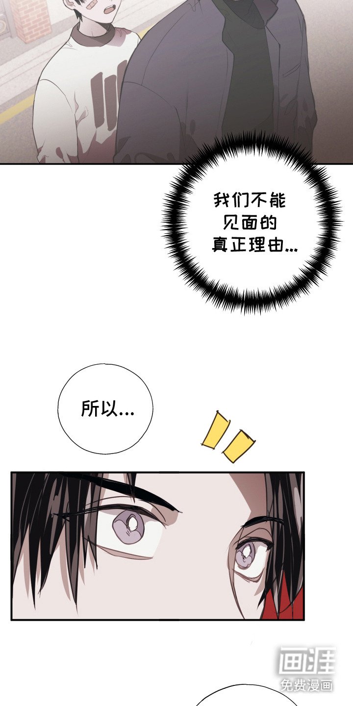 第12章：任性妄为