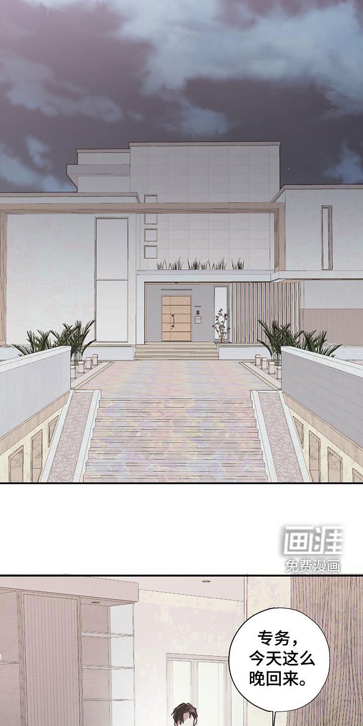 第18章：没用的东西