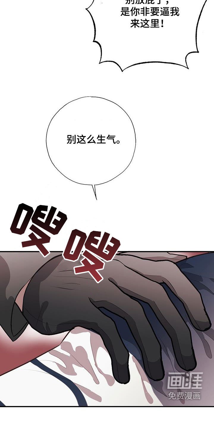 第24章：胁迫