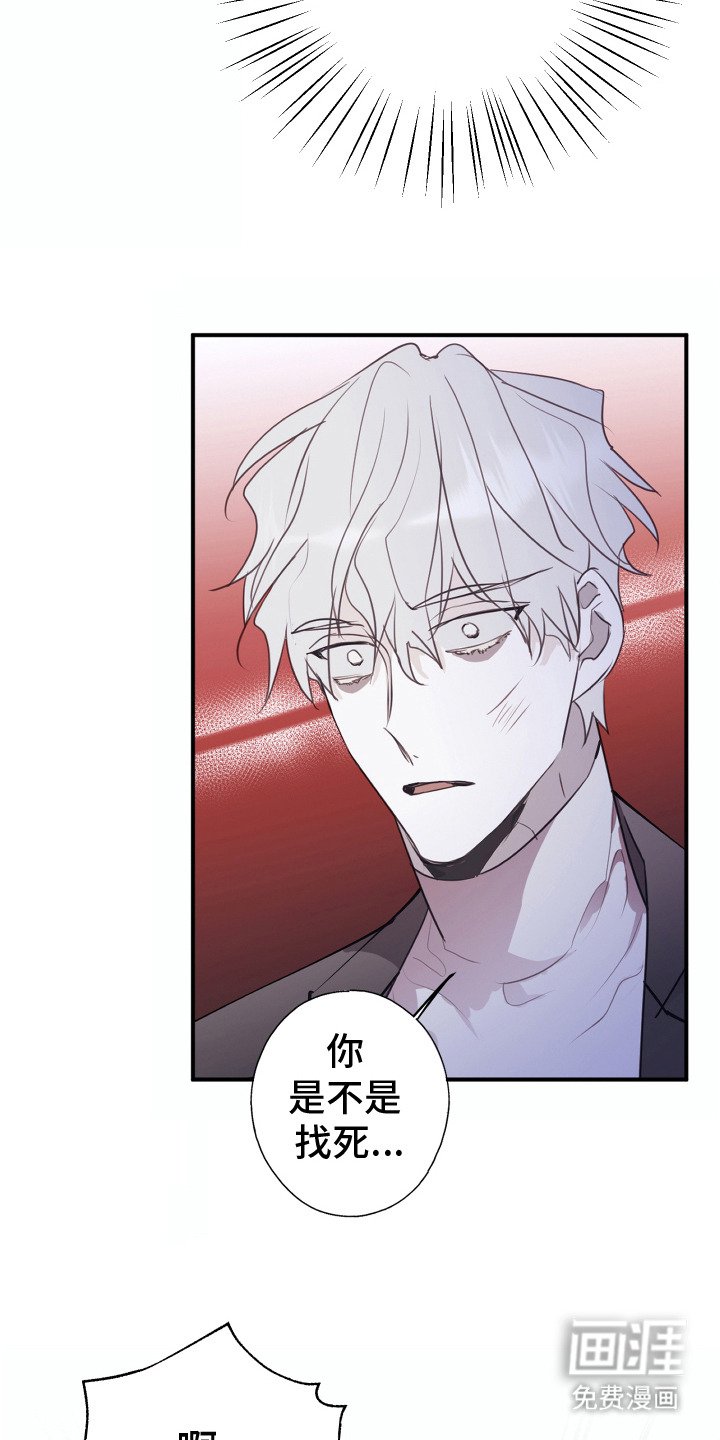第3章：多管闲事