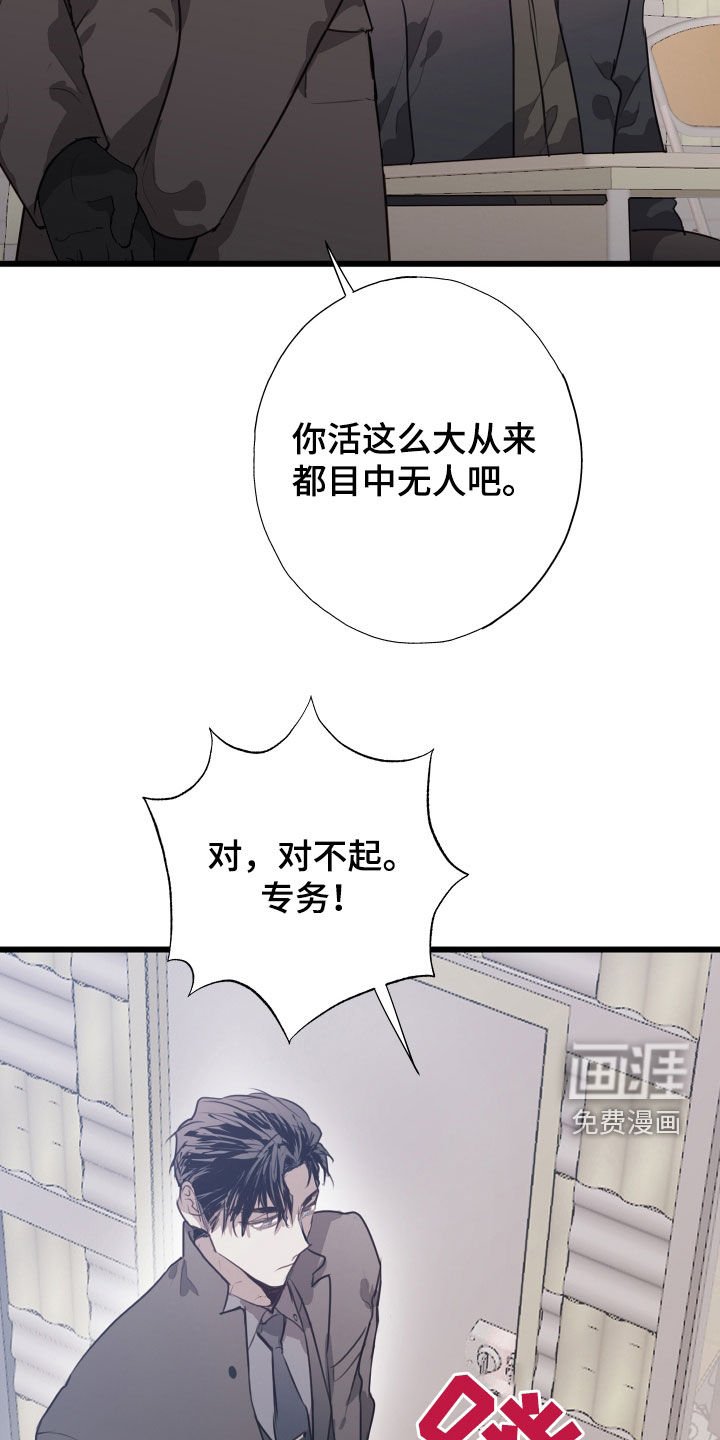 第36章：都解决了
