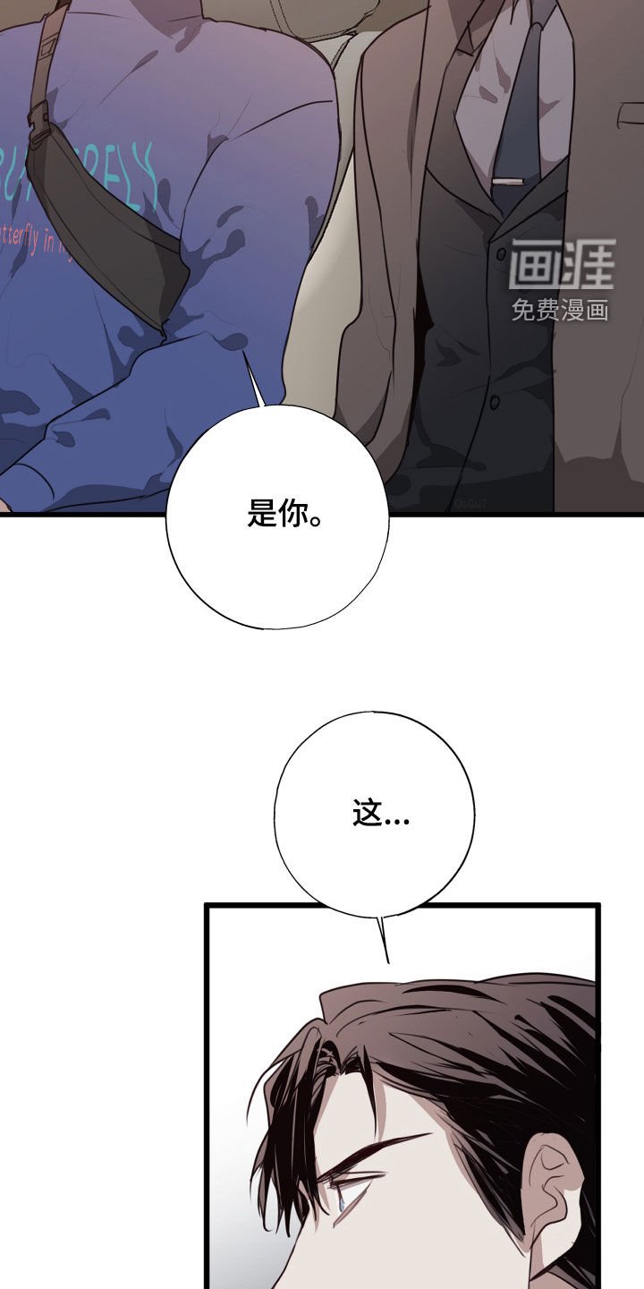 第37章：不要听他的