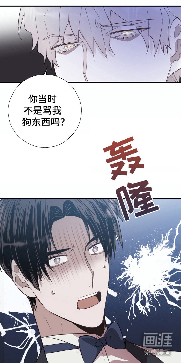 第4章：错认