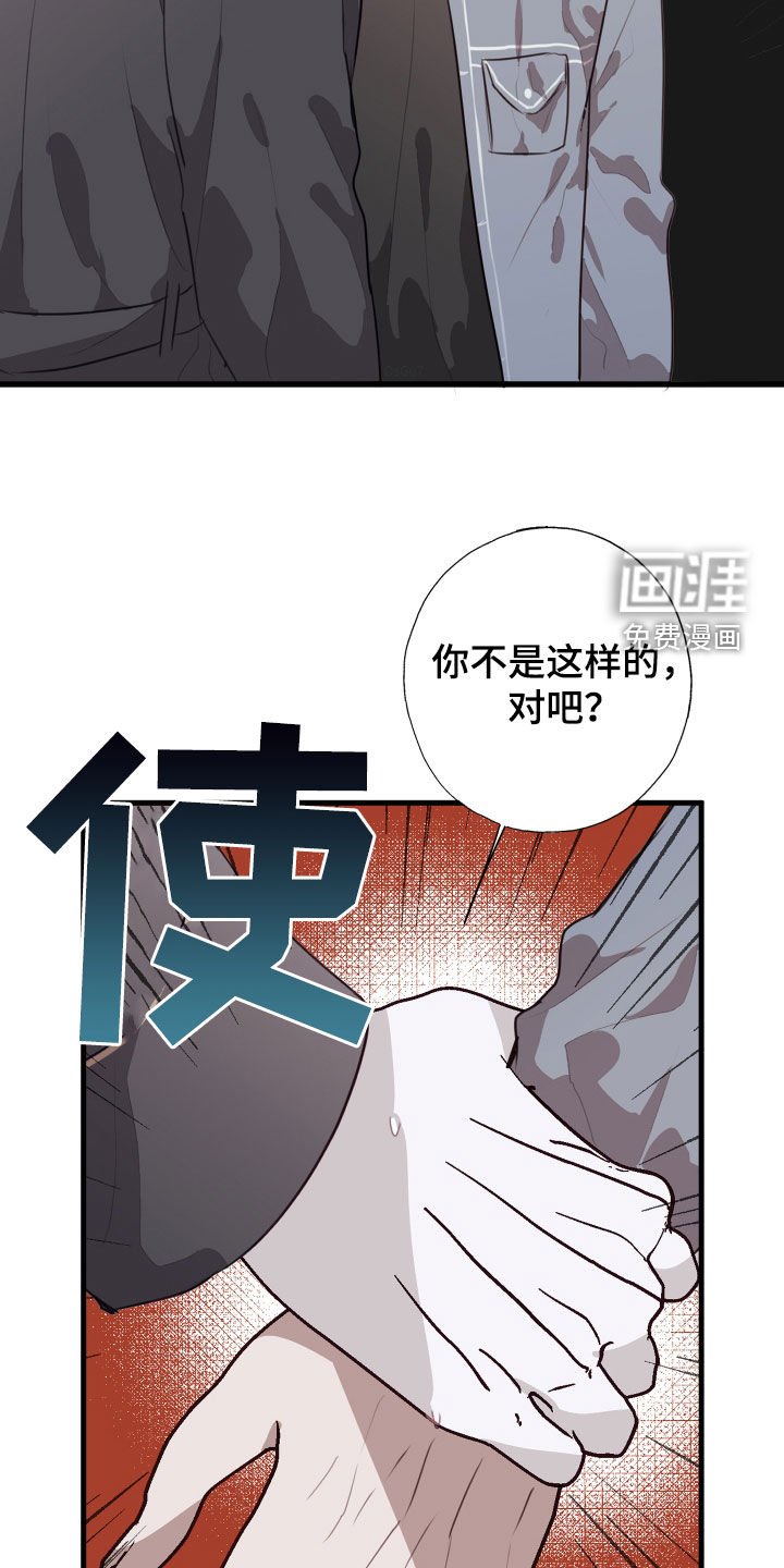 第40章：我愿意相信你